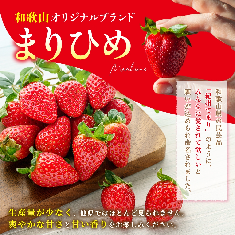 【先行予約】まりひめ いちご 12粒～15粒入り×4パック（1kg）2026年1月中旬頃～2026年3月中旬頃に順次発送予定（お届け日指定不可）/ いちご 苺 まりひめ 和歌山 フルーツ 果物 くだもの【kgr008A】
