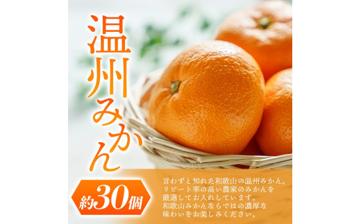 【先行予約】 道の駅くしがきの里セット 富有柿3個・温州みかん約30個の詰め合わせ こだわり農家厳選  【2026年11月上旬頃から12月中旬頃順次発送】/ みかん 温州みかん 柿 富有柿 かき 詰め合わせ 果物詰め合わせ 果物 フルーツ おやつ【kgr022】