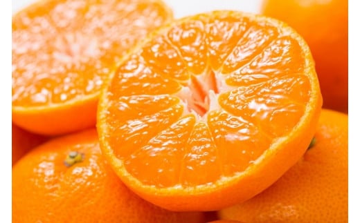 田村みかん 特選ギフト品 3kgサイズおまかせ 赤秀/紀州和歌山有田郡湯浅町田村地区産 ◆2025年11月下旬～2026年1月中旬頃に発送(お届け日指定不可)　紀伊国屋文左衛門本舗【ntbt308B】