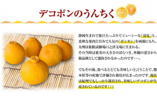 デコ不知火（デコポン） 約2.8kg/サイズおまかせ　※2026年2月上旬～2026年4月上旬頃に順次発送予定(お届け日指定不可)　紀伊国屋文左衛門本舗　【ntbt421C】