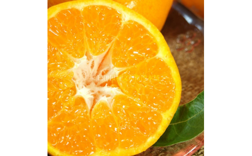 はるみ 約4kg/サイズおまかせ　※2026年1月下旬～2026年3月中旬頃に順次発送予定(お届け日指定不可)　紀伊国屋文左衛門本舗　【ntbt460B】