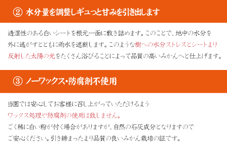みかん 【2026年秋頃発送予約分】こだわりの青切りみかん　約7.5kg  有機質肥料100%　 サイズ混合　※2026年9月～10月に順次発送予定（お届け日指定不可）【nuk107F】