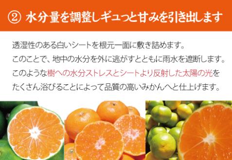 ＼光センサー選別／ 【農家直送】果汁たっぷり！清見オレンジ 約5kg 有機質肥料100%　 サイズ混合　※2026年3月上旬より順次発送予定（お届け日指定不可）【nuk112B】