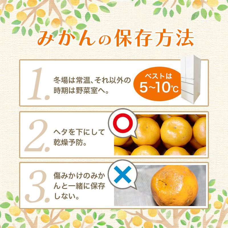 【2026年11月発送予約分】＼光センサー選別／農家直送 こだわりの有田みかん 約2kg【ご家庭用】【11月発送】みかん ミカン 有田みかん 温州みかん 柑橘 有田 和歌山 ※北海道・沖縄・離島配送不可/みかん ミカン 有田みかん 温州みかん 柑橘 有田 和歌山 産地直送【nuk159-11A】