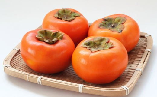 [柿の名産地]九度山の富有柿約7.5kgサイズおまかせ【tec403B】