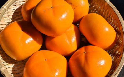 【秋の味覚】和歌山産のたねなし柿2L～4Lサイズ約2kg（化粧箱入り）【tec408A】