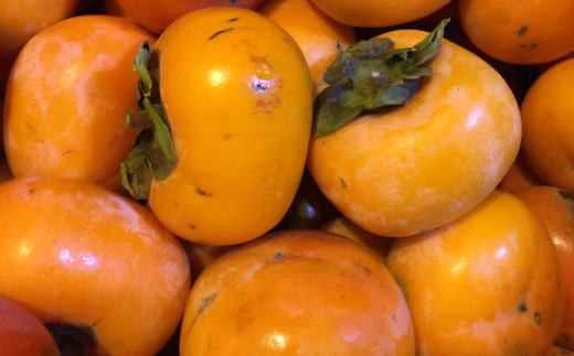 【秋の味覚】和歌山産のたねなし柿ご家庭用約7.5kg【tec410A】