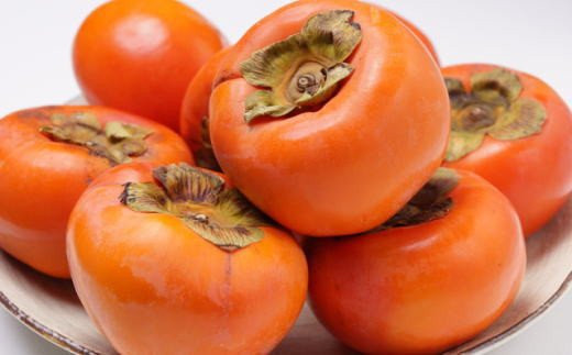 ≪柿の名産地≫九度山の富有柿約7.5kgご家庭用【tec413A】