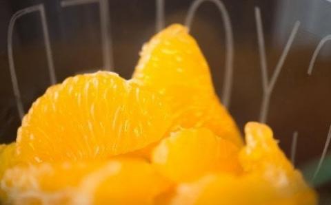 【手選果】有田産の八朔10kg（SまたはMサイズいずれかお届け）＜2024年1月下旬頃～2月下旬頃に順次発送＞【tec845】