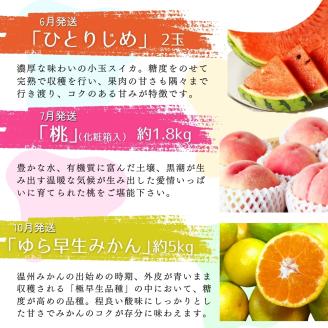 【全6回定期便】旬のフルーツ定期便 【田村みかん / 紀州デコ(不知火) / 清見オレンジ / 小玉スイカ / 桃 / ゆら早生みかん】 ～和歌山の旬をお届け～ / みかん ミカン 温州みかん 有田み【tkb314】
