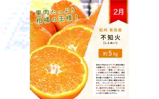 【全3回】紀州和歌山産旬の柑橘定期便(みかん・不知火・せとか)【tkb382】