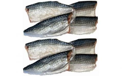 塩さばフィレ14枚入（真空パック入）【uot403B-1】