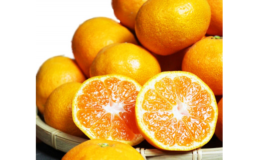 【ご家庭用訳アリ】紀州有田産濃厚完熟温州みかん　7.5kg　※2024年11月下旬頃～2025年1月下旬頃に順次発送予定(お届け日指定不可)【uot704A】