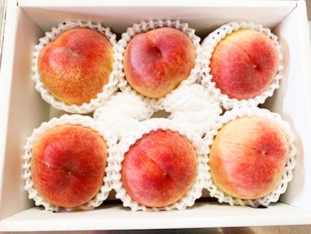 紀州和歌山産の桃　約1.8kg　化粧箱入 ※2026年6月下旬頃〜2026年8月上旬頃順次発送（お届け日指定不可）【uot720-2】