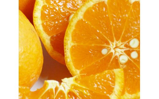 【ご家庭用訳アリ】初夏のみかん なつみ7.5kg　※2026年4月中旬頃～2026年4月下旬頃に順次発送予定(お届け日指定不可)【uot733A】