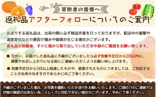 【先行予約】【初秋の美味】【農家直送】有田育ちのご家庭用青切り有田みかん　約10kg+200g(傷み補償分)【2026年9月中旬～10月上旬頃に順次発送予定】【ard046D】