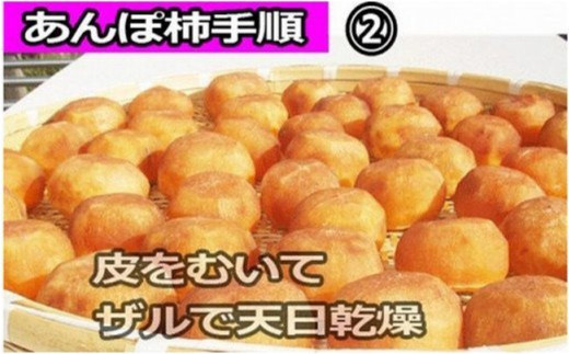 甘さが違う！とっても甘くなる生渋柿（平たねなし柿）あんぽ柿用 T軸枝無 約14.5～15kg　約60～90個＜2026年10月中旬～11月上旬ごろ順次発送＞【art002B】