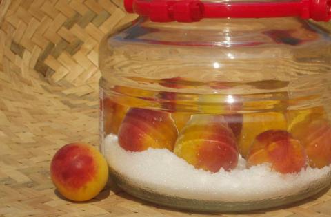 【梅干・梅酒用】（LまたはM－2Kg）熟南高梅＜2026年6月上旬～7月上旬ごろに順次発送予定＞【art012B】 