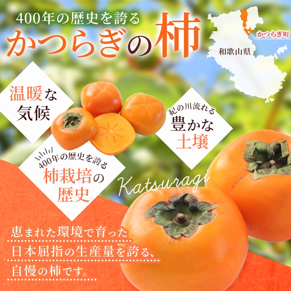 【先行予約】富有柿 2kg～2.5kg 6個入 至高の逸品 約1000個に１個！2026年10月末から11月末頃に順次発送予定（お届け日指定不可）/ 和歌山 柿 かき フルーツ 果物 くだもの 刀根 種無し【kgr013】