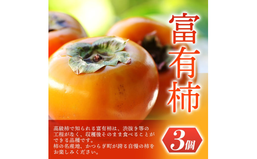 【先行予約】 道の駅くしがきの里セット 富有柿3個・温州みかん約30個の詰め合わせ こだわり農家厳選  【2026年11月上旬頃から12月中旬頃順次発送】/ みかん 温州みかん 柿 富有柿 かき 詰め合わせ 果物詰め合わせ 果物 フルーツ おやつ【kgr022】