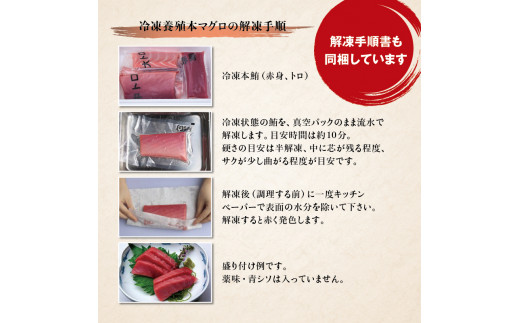 本マグロ（養殖）トロ＆赤身セット 500g 【１ヶ月以内に順次発送】 【配達日指定不可】高級 クロマグロ  中トロ 中とろ まぐろ マグロ 鮪 赤身 柵 じゃばらまぐろ 本マグロ 本鮪【nks110D】