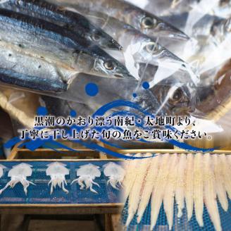 厳選干物 8種セット 創業80年！地元で愛される人気の干物 Gセット【sio106A】