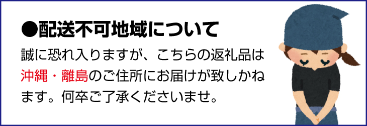 完熟有田みかん　10kg　※2026年11月下旬～2027年1月下旬頃に順次発送予定(お届け日指定不可)【uot705】