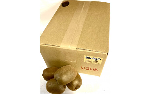 紀州かつらぎ山のキウイフルーツ約３ｋｇ ※2027年1月下旬～2月上旬頃に順次発送予定(お届け日指定不可)【uot792】