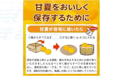 【ご家庭用訳あり】紀州有田産 すっきり爽やか 甘夏みかん 8kg  ※2026年3月上旬頃～2026年3月下旬頃に順次発送予定 / 甘夏 あまなつ みかん ミカン 蜜柑 温州みかん 柑橘 フルーツ 果物 くだもの 和歌山【uot847】