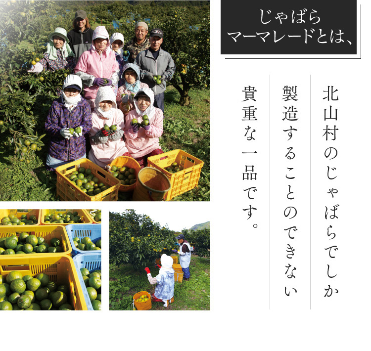 じゃばらマーマーレード 140g×2個 【njb333A】