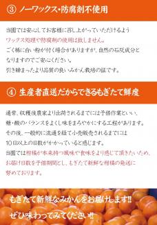 ＼光センサー選別／ 【農家直送】果汁たっぷり！清見オレンジ 約10kg  有機質肥料100%　 サイズ混合　※2026年3月より順次発送予定（お届け日指定不可）【nuk113B】