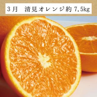 【3か月定期便】たっぷり届く♪訳ありみかんの定期便　温州みかん・不知火・清見オレンジ【tkb113】