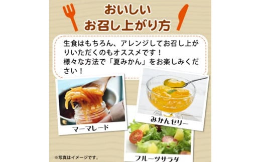 夏みかん 7.2kg　※2026年4月中旬頃～2026年4月下旬頃に順次発送予定（お届け日指定不可）【uot775】