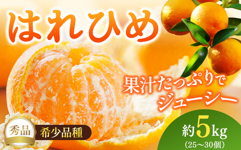 【先行予約】希少種みかん はれひめ 秀品 約5kg (25個～30個)  ※2026年12月中旬～2027年2月初旬頃に順次発送予定（お届け日指定不可）/ 和歌山 みかん ミカン はれひめ フルーツ 柑橘 蜜柑 果物 くだもの 旬 産地直送【kgr004A】