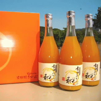 有田みかんの和α（なごみアルファ）720ml×3本【kjk110】