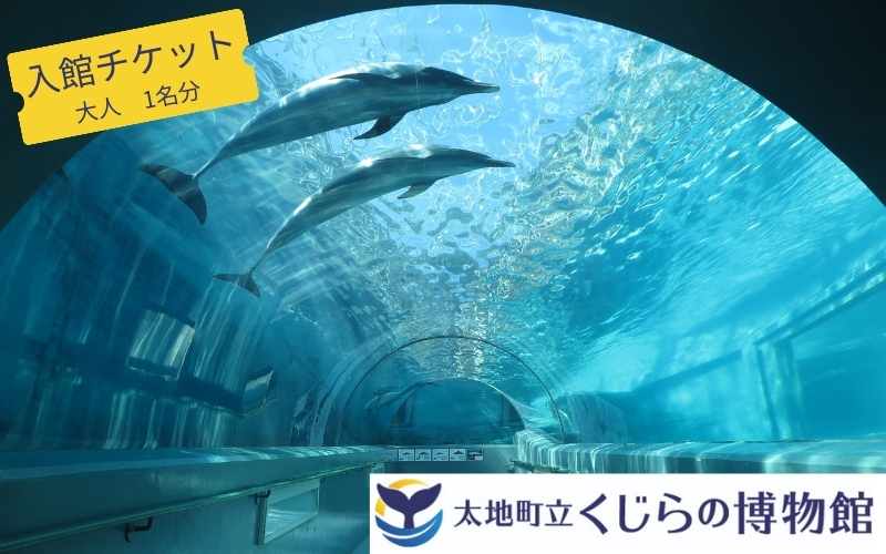 太地町立くじら博物館　入館チケット大人1名分/チケット 入館券 博物館 くじら 鯨【kzr001】