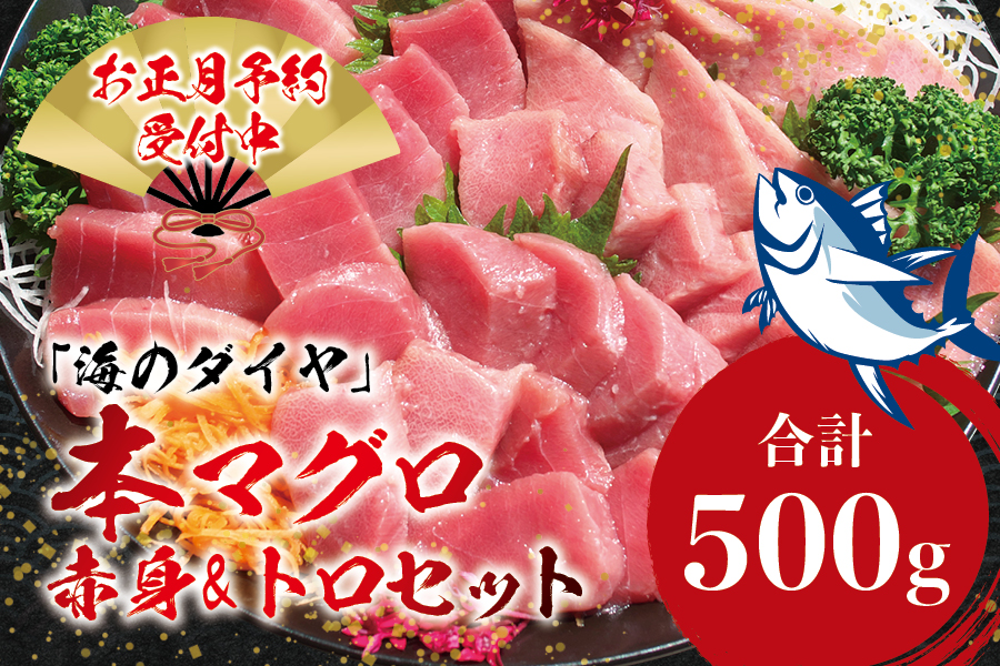 【年末発送分】本マグロ（養殖）トロ＆赤身セット 500g 【12月25日～30日に発送】高級 クロマグロ  中トロ 中とろ まぐろ マグロ 鮪 赤身 柵 じゃばらまぐろ 年内配送 年内発送 お正月 正月【nks110D-sg】