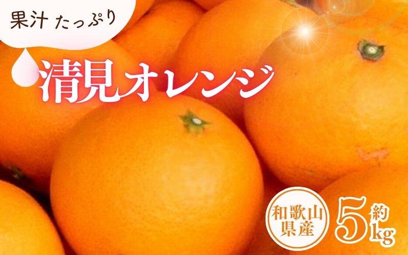 清見オレンジ約5kg/果実サイズおまかせ ※2026年2月中旬～2026年4月下旬頃に発送予定　紀伊国屋文左衛門本舗【ntbt400B】