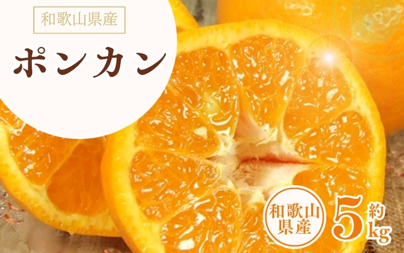 ポンカン 約5kg/サイズおまかせ　※2026年1月下旬～2026年2月下旬頃に順次発送予定(お届け日指定不可)　紀伊国屋文左衛門本舗　【ntbt451B】