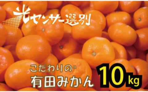 【2025年12月発送予約分】＼光センサー選別／ 【農家直送】【家庭用】こだわりの有田みかん 約10kg＋250g(傷み補償分) 有機質肥料100% サイズ混合 【12月発送】【nuk101-12B】