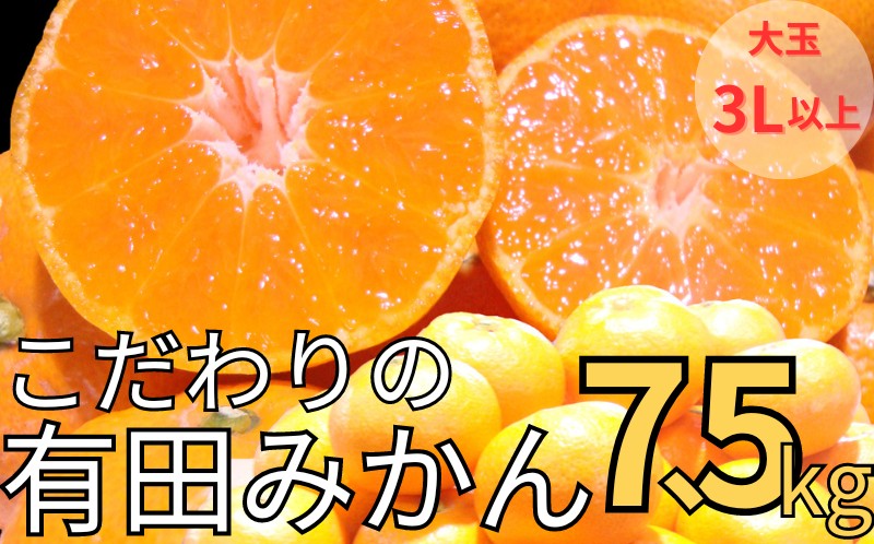 【農家直送】有田みかん 約7.5kg 大玉3L以上 有機質肥料100% ※2025年12月初旬～1月中旬頃に順次発送(お届け日指定不可)/みかん ミカン 温州みかん 柑橘 有田 和歌山 産地直送【nuk158D】