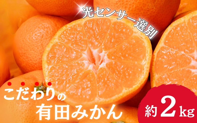 2024年11月発送予約分】＼光センサー選別／農家直送 こだわりの有田みかん 約2kg＋60g(傷み補償分) 【ご家庭用】【11月発送】【nuk159-1】:  太地町ANAのふるさと納税