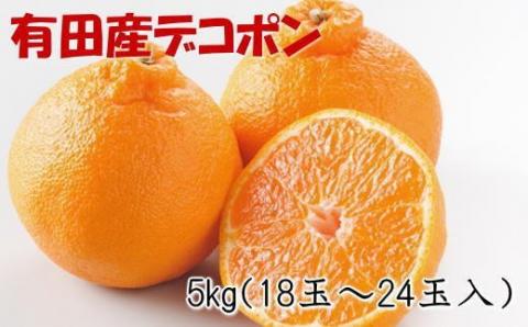 【お味濃厚】紀州有田産のデコポン約5kg(18玉～24玉入り・青秀以上) ※2026年2月中旬～2026年3月中旬頃順次発送【tec810B】