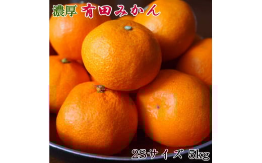 【秀品】 和歌山 有田みかん 5kg（2Sサイズ）※北海道・沖縄・離島への配送不可 ※2025年11月中旬～2026年1月中旬頃順次発送予定（お届け日指定不可）【tec886A】