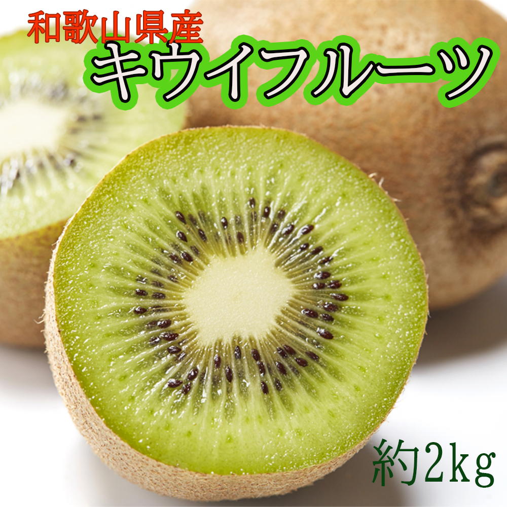 和歌山県産キウイフルーツ約2kg（サイズ混合）※2026年11月下旬～2027年2月下旬頃に発送【tecj1039】
