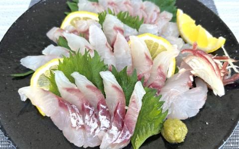 ＼数量限定／ クロムツの煮付用＋刺身用セット 【冷蔵便】 くろむつ 黒睦 ムツ 煮つけ 煮付 煮付け 刺身 お刺身 国産 太地町【tgk110】