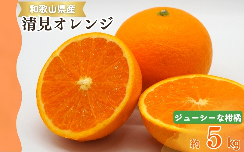 【予約】【ジューシー】清見オレンジ 5kg※2026年3月下旬頃～2026年4月中旬頃に順次発送予定（お届け日指定不可）【uot710-2】