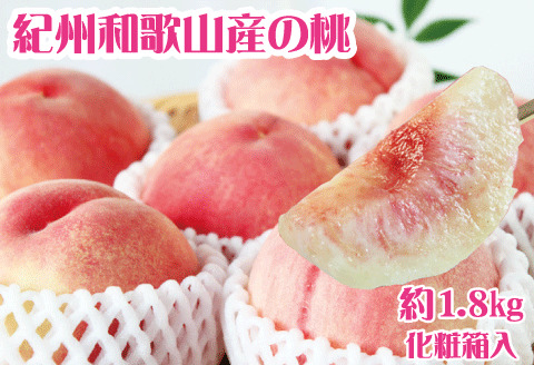 紀州和歌山産の桃　約1.8kg　化粧箱入 ※2026年6月下旬頃〜2026年8月上旬頃順次発送（お届け日指定不可）【uot720-2】