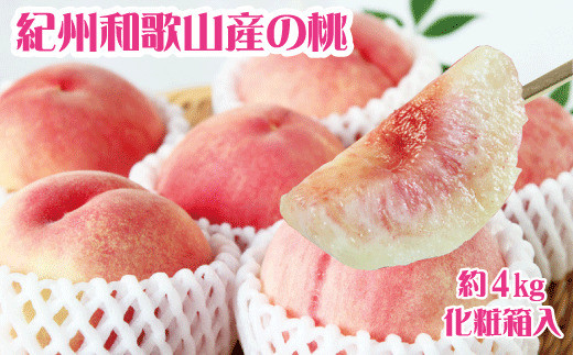 紀州和歌山産の桃　約4kg　化粧箱入 ※2026年6月下旬頃〜2026年8月上旬頃順次発送（お届け日指定不可）【uot723A】