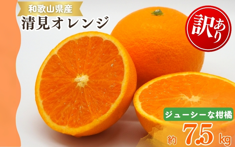 【ご家庭用訳アリ】紀州有田産清見オレンジ　7.5kg ※2026年3月下旬頃〜2026年4月中旬頃に順次発送予定(お届け日指定不可)【uot730】